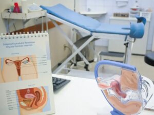 Projeto propõe atendimento completo para endometriose no SUS