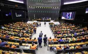 Debate sobre a relevância dos agentes comunitários de saúde e dos agentes comunitários de endemias para sociedade brasileira.