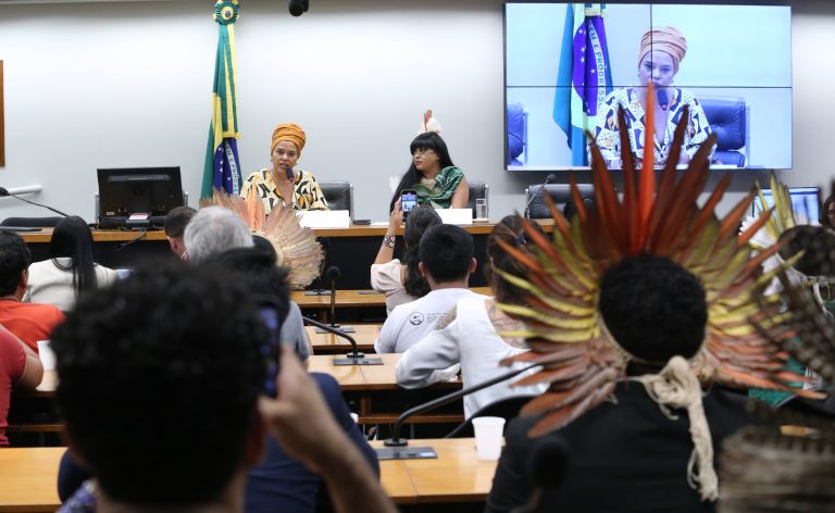 Audiência Pública - Impactos do setor de energias em terras indígenas. Dep. Dandara (PT - MG) e Dep. Célia Xakriabá (PSOL - MG)