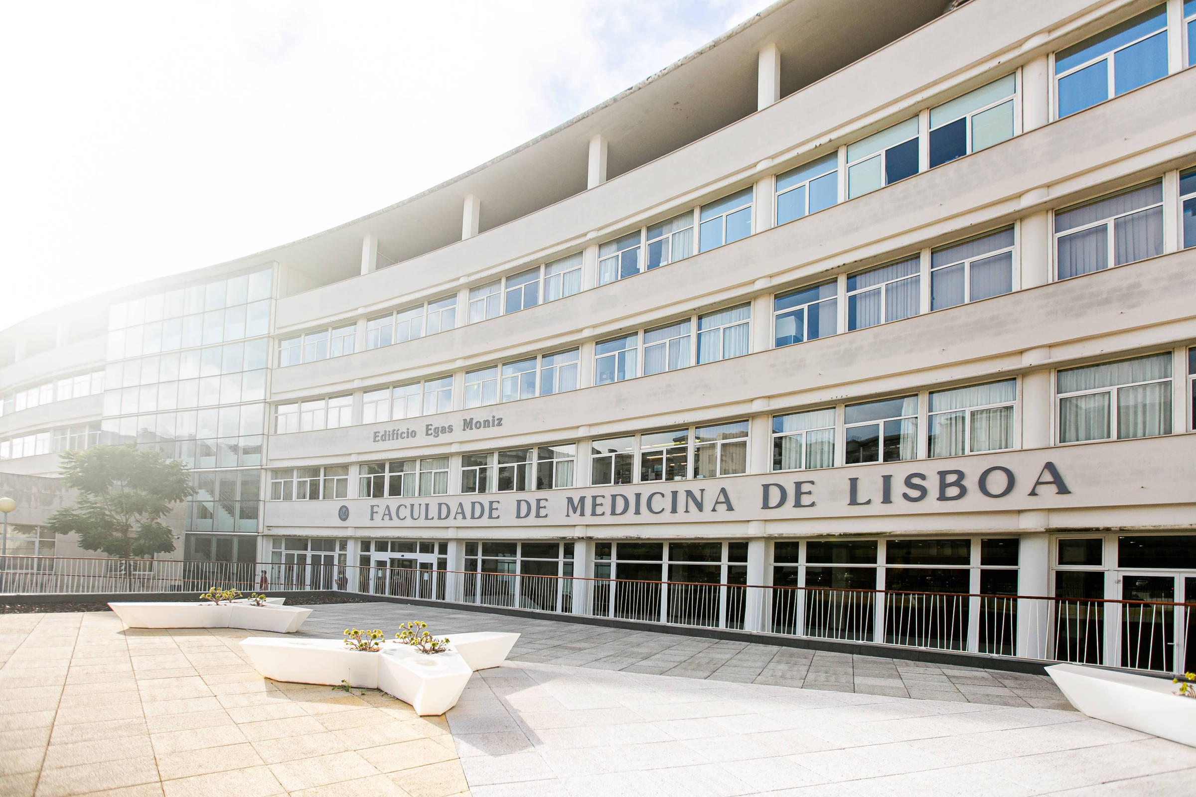A imagem mostra a fachada da Faculdade de Medicina de Lisboa, um edifício moderno com várias janelas e um design contemporâneo. Na parte inferior da fachada, está escrito