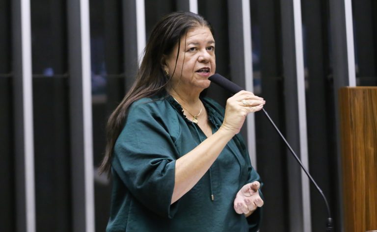 Deputada Laura Carneiro fala ao microfone