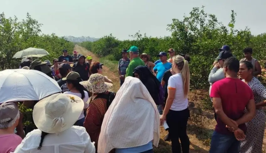Apicultura, Meliponicultura e Olericultura integram ciclo de palestras do Sebrae-SP em Dia de Campo em Guarantã | ASN São Paulo