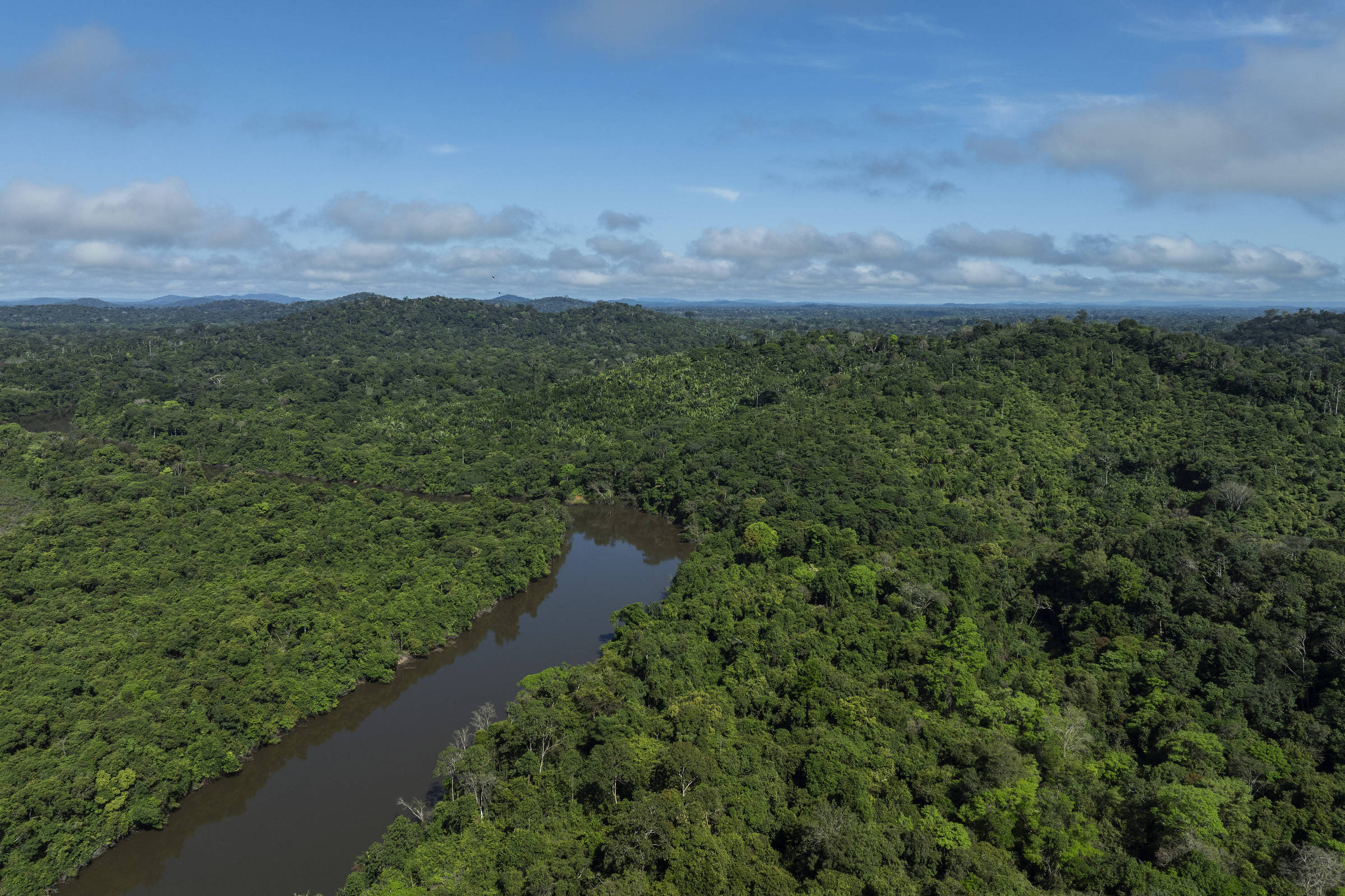 A imagem mostra uma vista aérea de uma densa floresta tropical, com uma variedade de árvores verdes e um rio serpenteando através da vegetação. O céu está parcialmente nublado, e as montanhas podem ser vistas ao fundo, criando um cenário natural exuberante.
