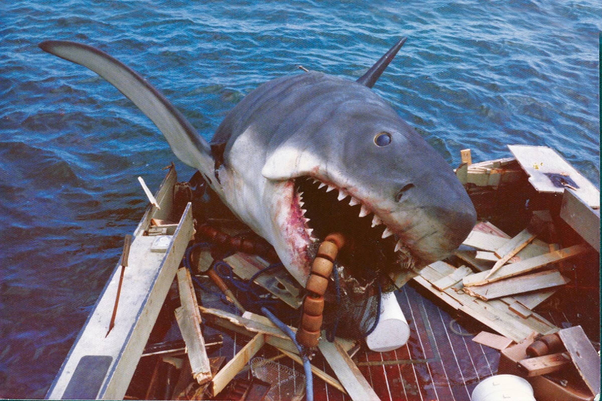 A imagem mostra um grande tubarão branco com a boca aberta, exibindo dentes afiados, em um barco. O tubarão parece estar parcialmente fora da água, com um fundo de mar azul. O barco está desordenado, com pedaços de madeira e outros objetos ao redor do tubarão