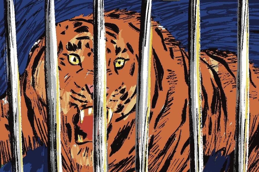 Um tigre alaranjado se encontra no ato de atacar uma preda. Seu rosto está nervoso e sua boca aberta revela dentes afiados.  À sua frente barras verticais sugerem que ele encontra-se enjaulado.