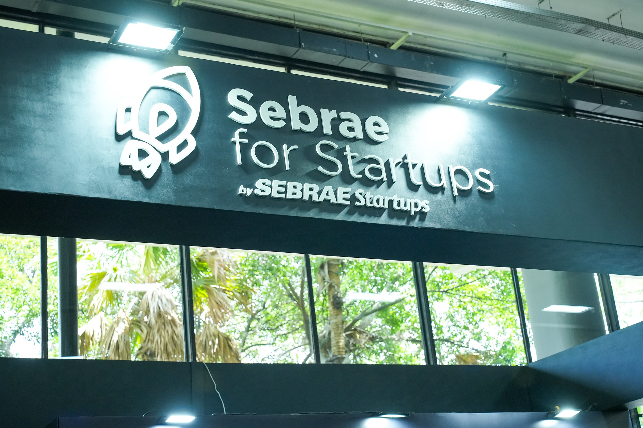 Prêmio Sebrae Startups: São Paulo tem 24 selecionadas entre as Top 100 | ASN São Paulo