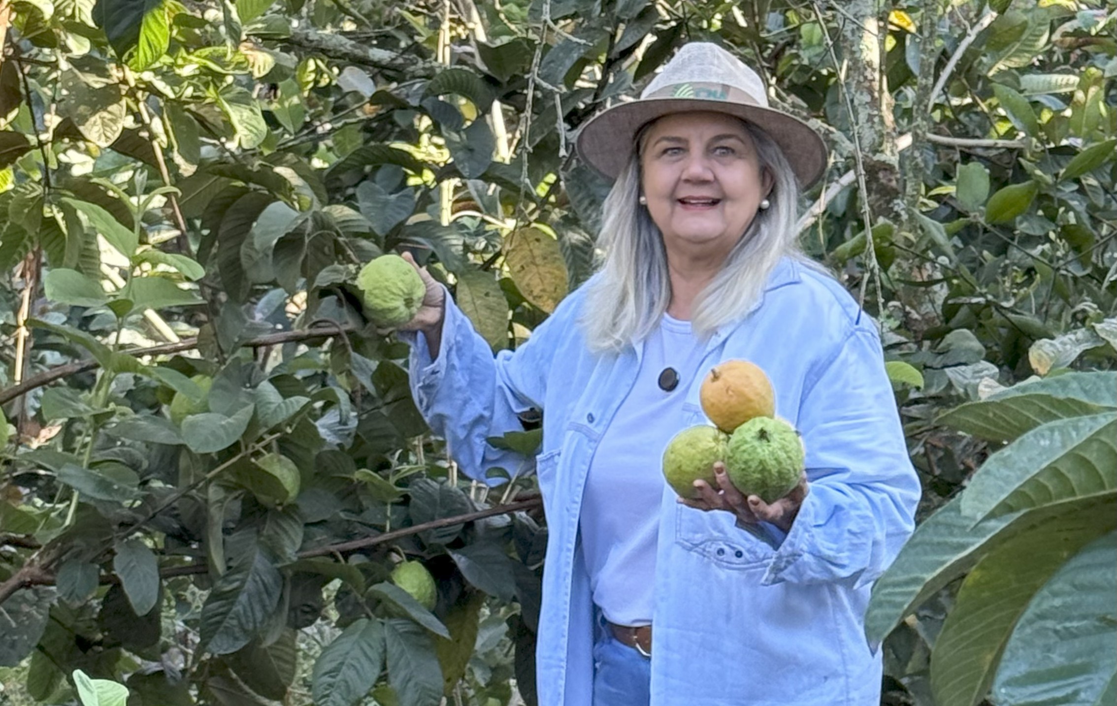 Doceira do interior conquista prêmio nacional e amplia produção com apoio do Sebrae-SP