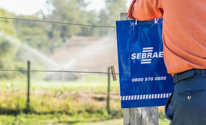 Palmeira D’Oeste recebe 1º Dia de Campo do Sebrae-SP com foco na comercialização e valorização da produção rural | ASN São Paulo