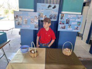 ‘Empreendedor mirim’: aos 8 anos, menino cria galinhas, vende os ovos e planeja futuro na agronomia | ASN São Paulo
