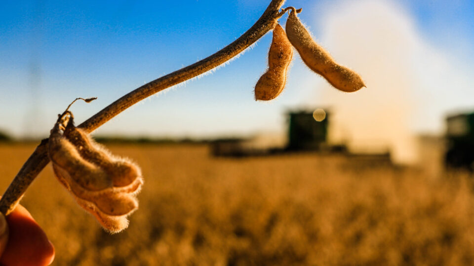 Brasil pode ter recorde de falências em 2026