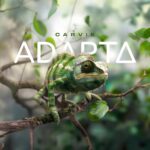 Adapta cria ecossistema de softwares adaptáveis para PMEs