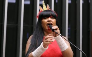 Discussão e votação de propostas legislativas. Dep. Célia Xakriabá (PSOL - MG)