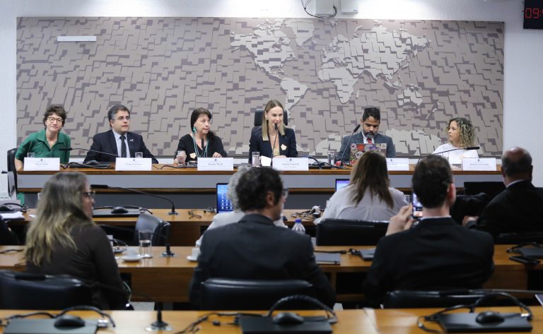 Audiência Pública - ECA Digital e demais projetos de proteção à criança e adolescente no ambiente digital, sob o ponto de vista da sociedade civil.