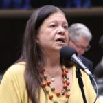 Discussão e Votação de propostas legislativas. Dep. Laura Carneiro (PSD - RJ)