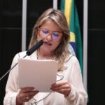 Discussão e votação de propostas legislativas. Dep. Flávia Morais (PDT - GO)