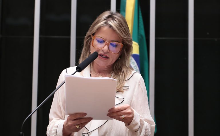 Discussão e votação de propostas legislativas. Dep. Flávia Morais (PDT - GO)