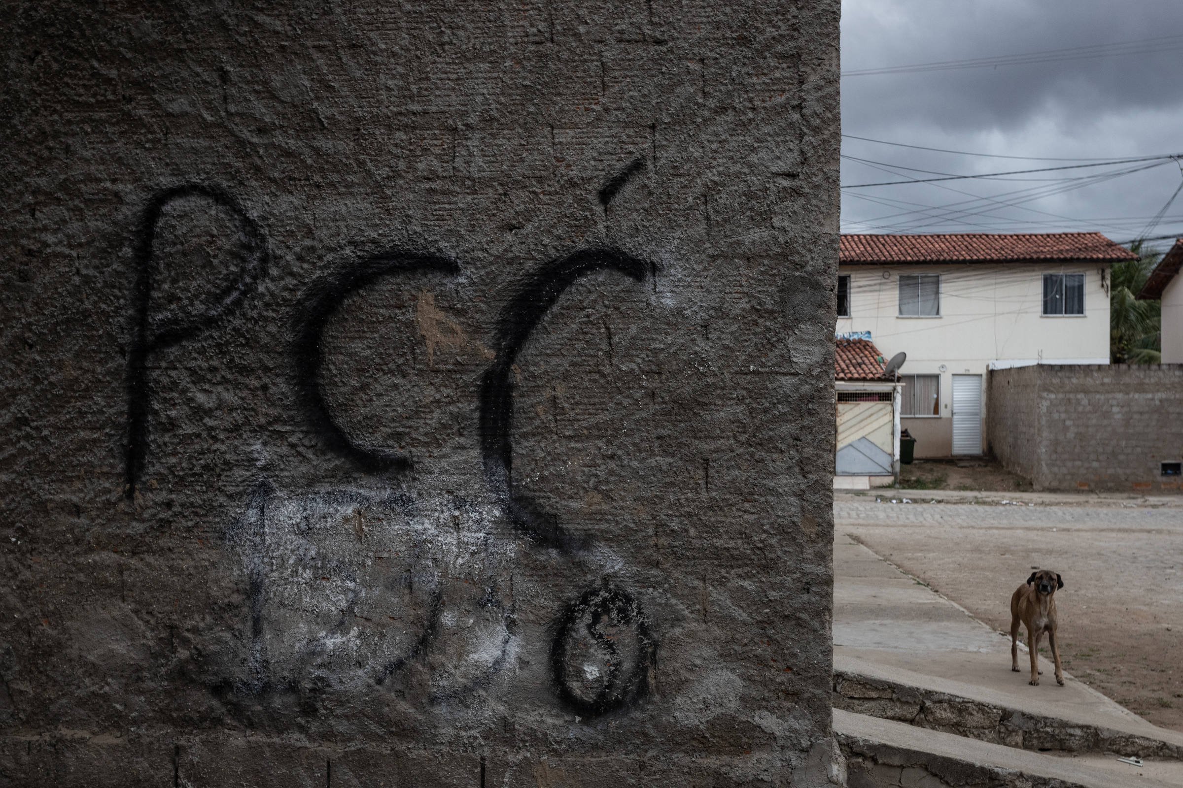 Muro de concreto com grafite preto escrito