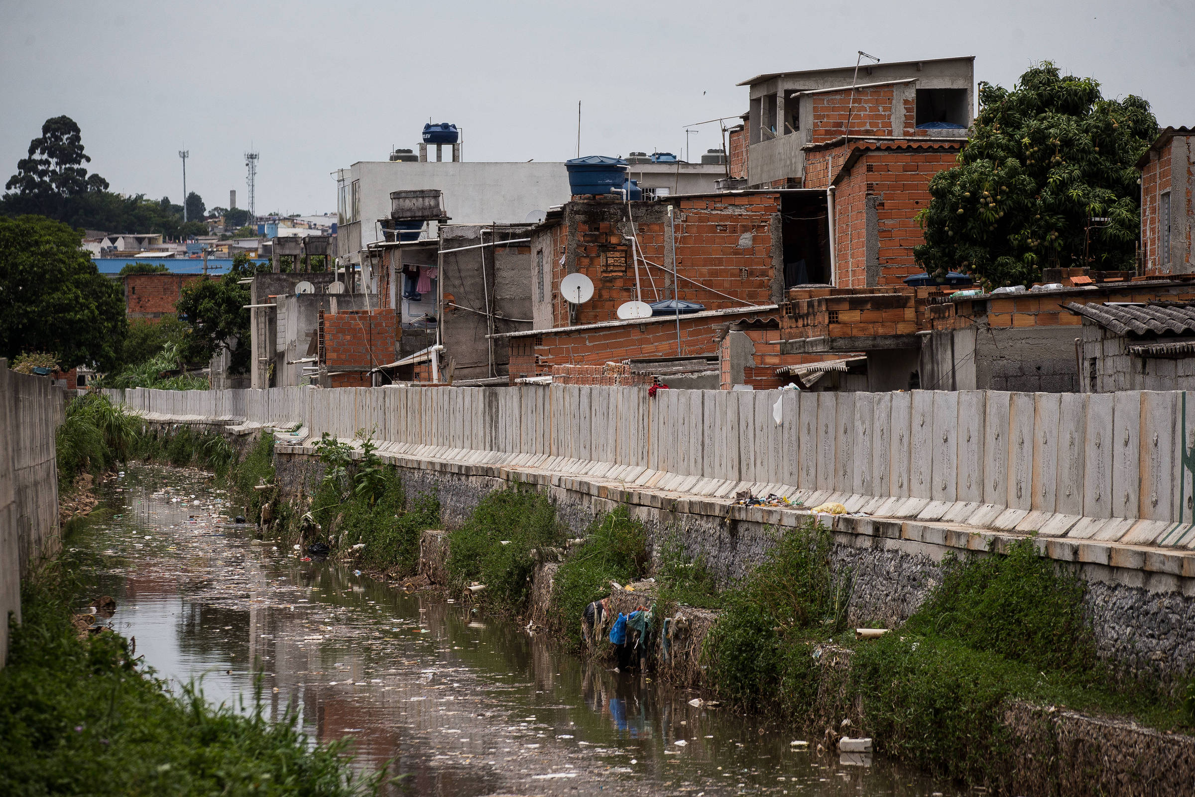 Educação ambiental reativa saberes nas periferias - 24/06/2026 - Papo de Responsa