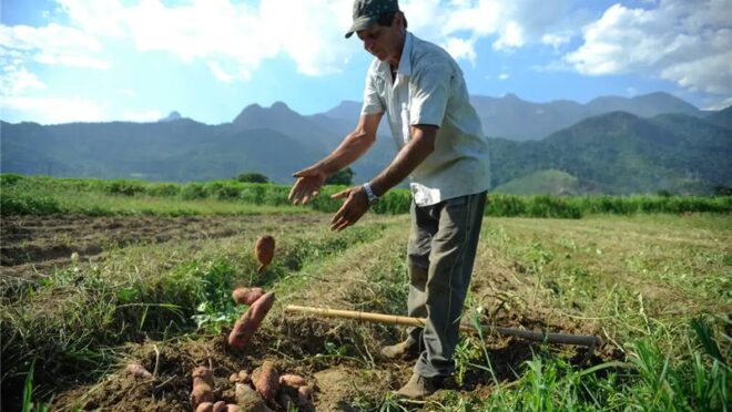 "Super El Niño" deve deixar marcas no campo e na cidade