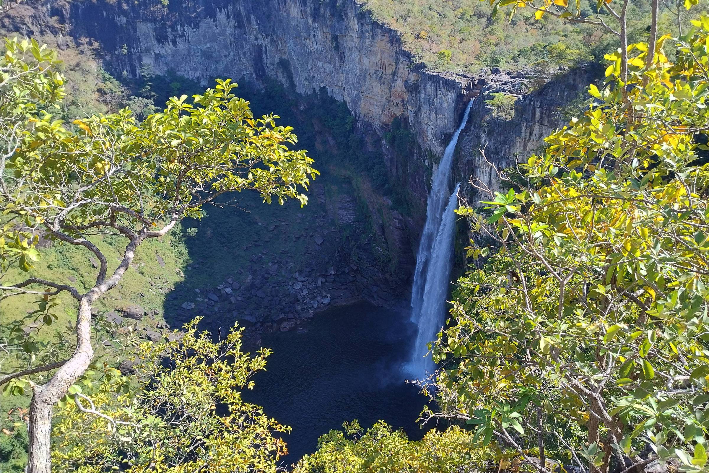 Cachoeira estreita despenca de penhasco rochoso alto para um poço escuro abaixo, cercada por vegetação verde e árvores em primeiro plano.