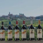 Os vinhos de Claudio Alario, produtor de Diano dAlba, focado na expressão do terroir