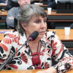 Discussão e Votação do Parecer do Relator. Dep. Erika Kokay (PT - DF)