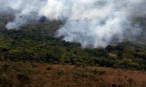 El Niño testa preparação do Brasil para incêndios florestais – CartaCapital