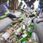 Quatro trabalhadores com uniformes cinza e capacetes verdes separam garrafas de vidro em esteira de triagem em ambiente industrial. Garrafas transparentes e verdes, além de cacos de vidro, estão espalhados na esteira.