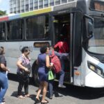 Transporte gratuito no dia da eleição deve garantir acesso ao voto