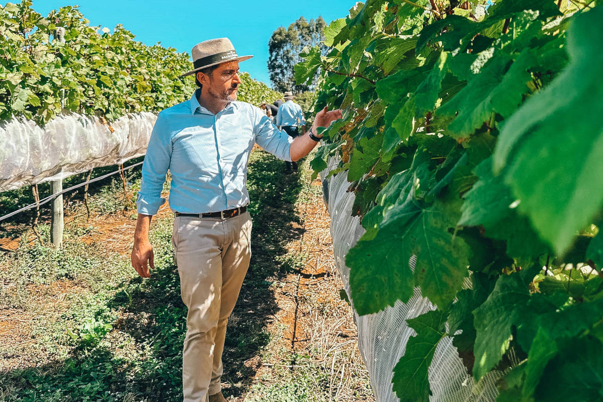 Novela dos vinhos de inverno tem seu astro - 03/09/2026 - Isabelle Moreira Lima