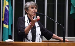 Discussão e votação de propostas legislativas. Dep. Erika Kokay (PT - DF)
